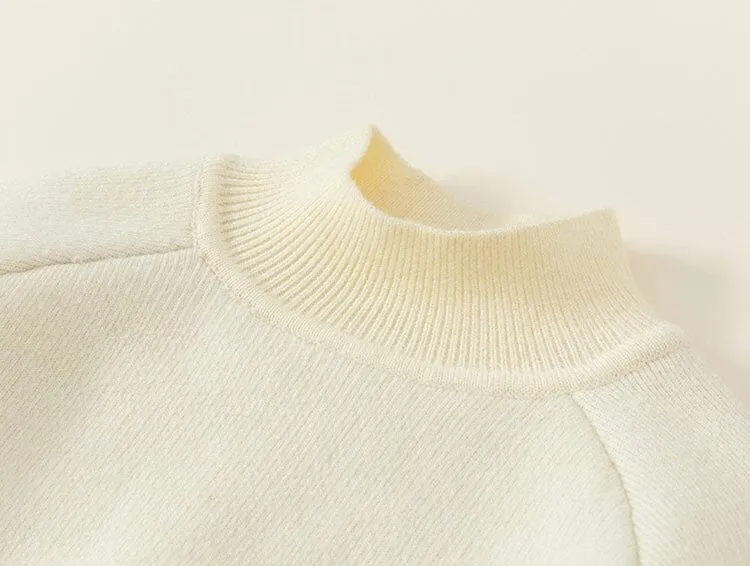 Nidali Solid Color Half Turtleneck Winter Plush Sweater