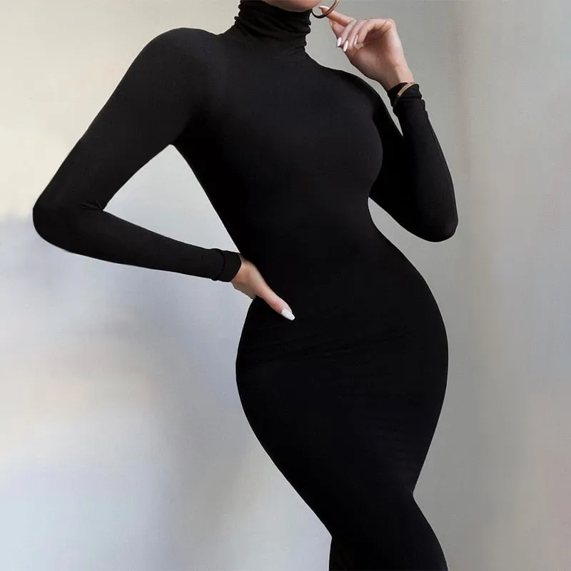 Skinny Turtleneck Bodycon Jumpsuit