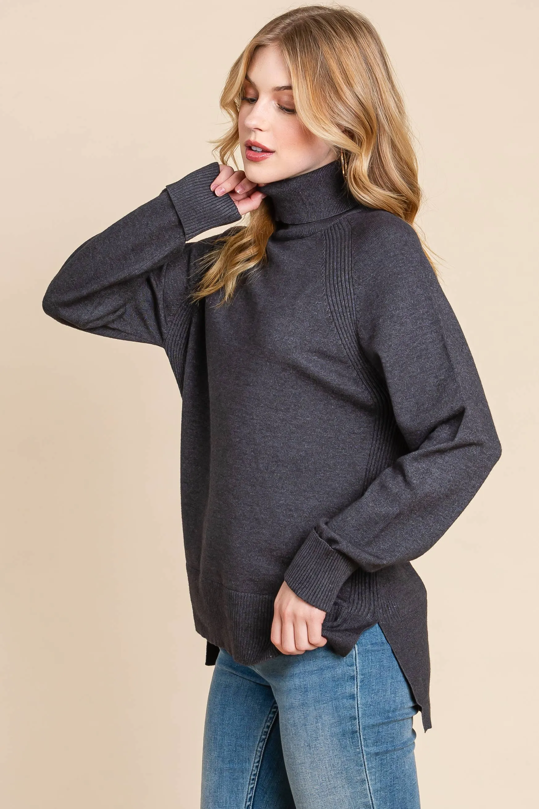 Turtleneck Solid Sweater
