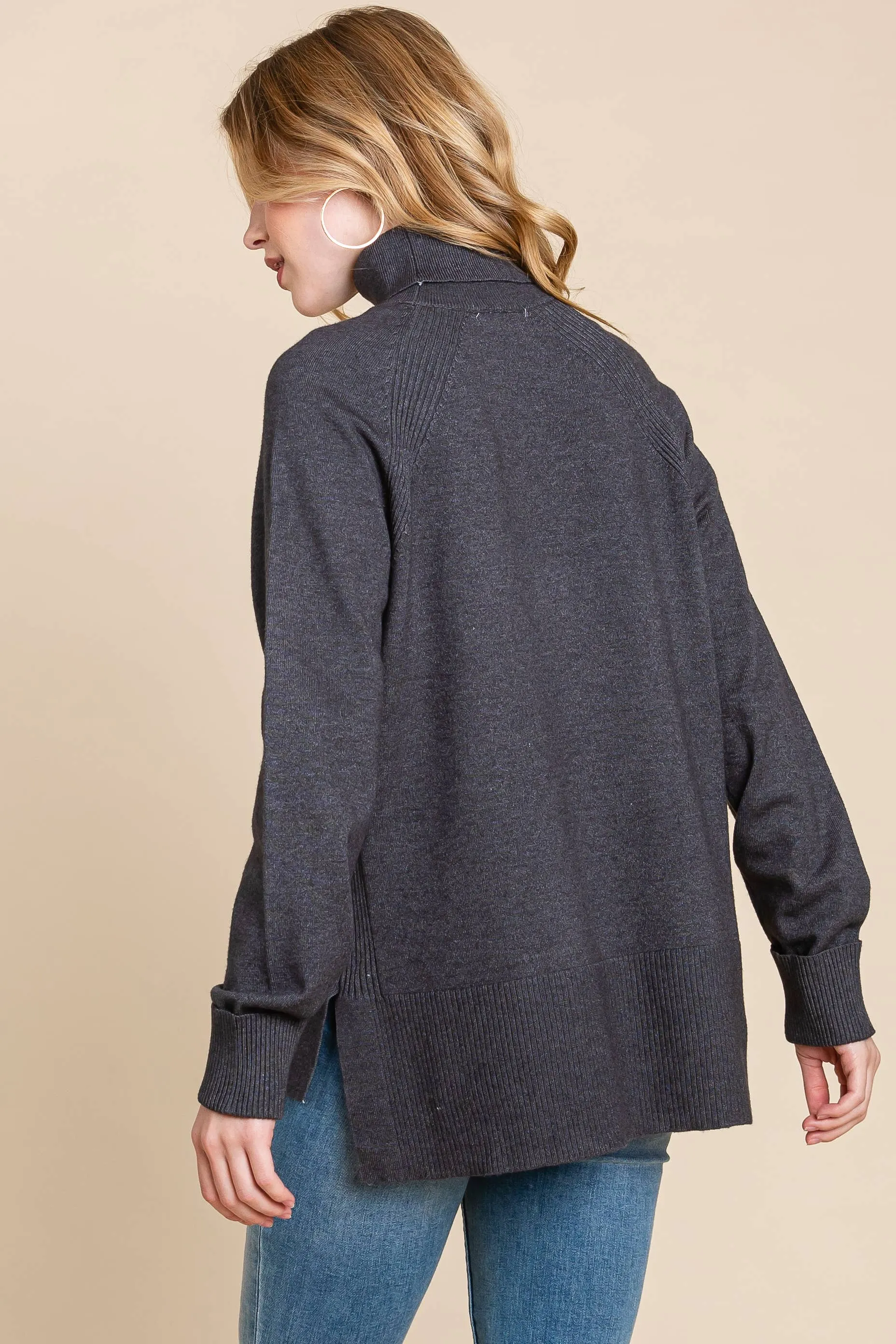 Turtleneck Solid Sweater