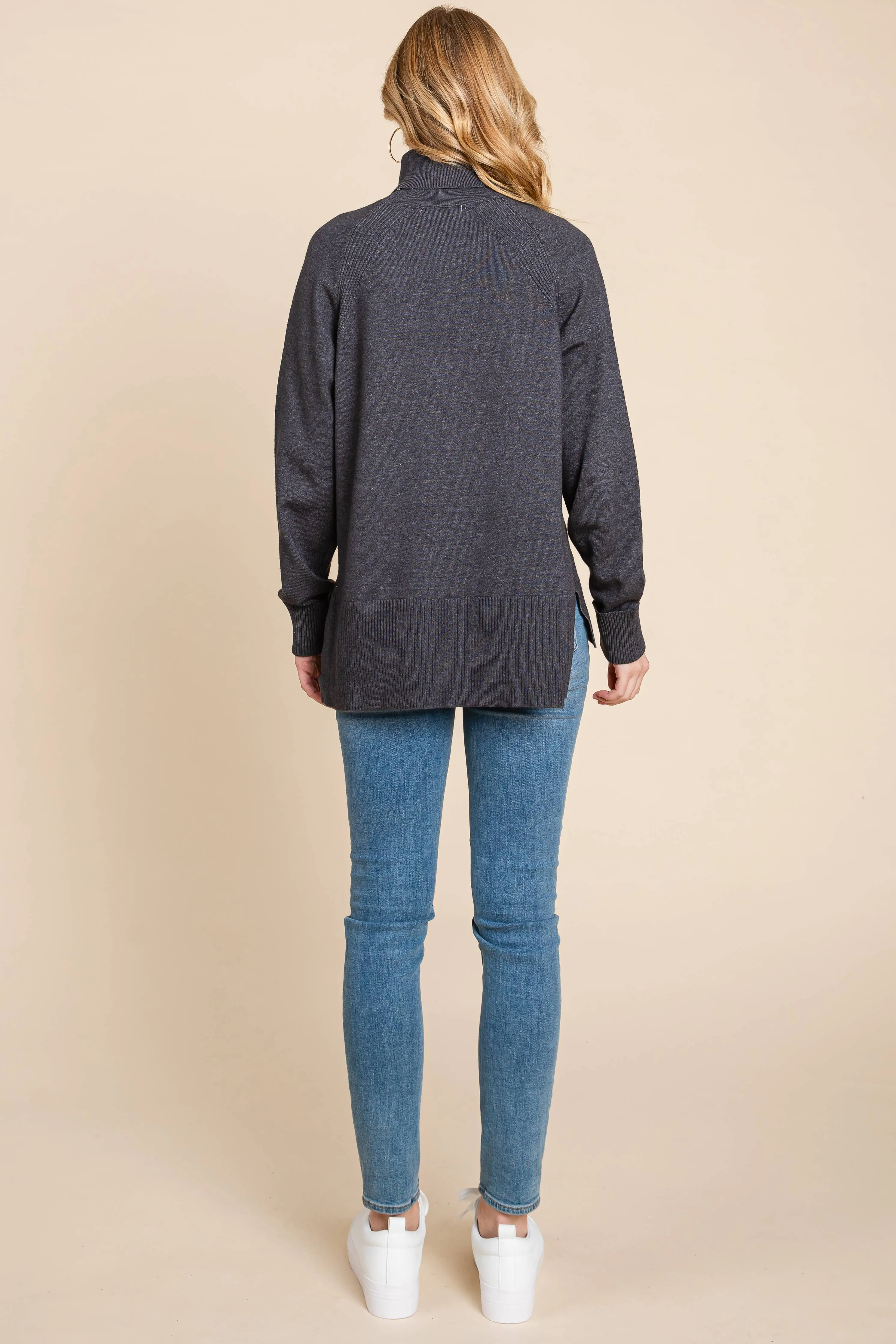 Turtleneck Solid Sweater