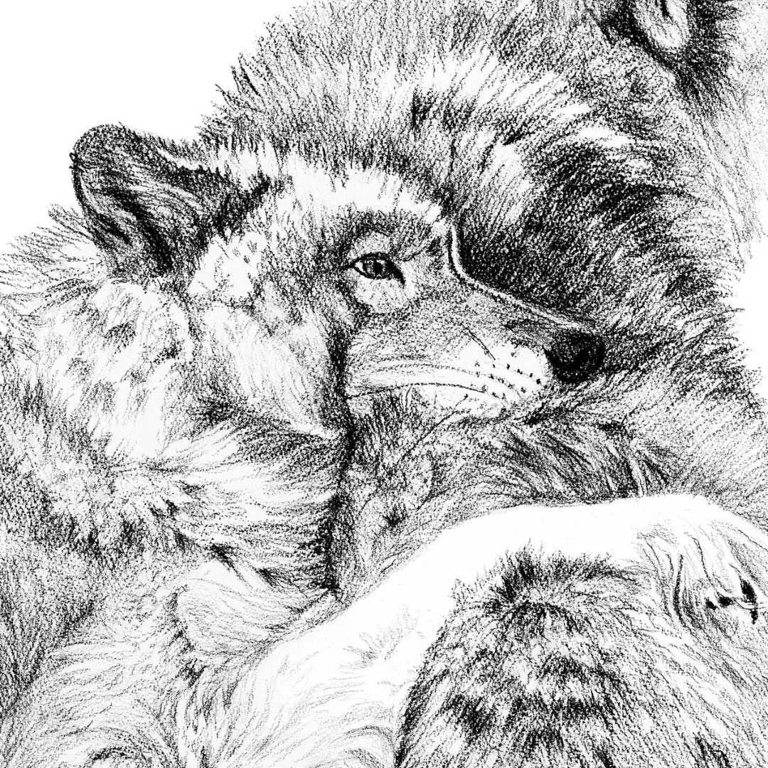 Wolf Cuddles - greeting card